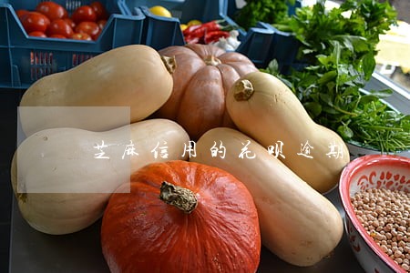 芝麻信用的花呗逾期 芝麻信用的花呗逾期