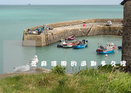 芝麻信用的逾期多久修复 芝麻信用的逾期多久修复