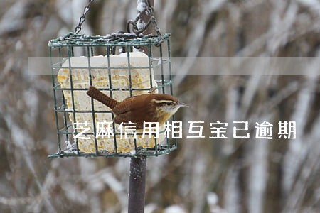芝麻信用相互宝已逾期 芝麻信用相互宝已逾期