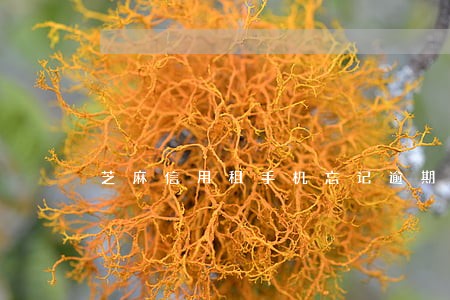 芝麻信用租手机忘记逾期 芝麻信用租手机忘记逾期
