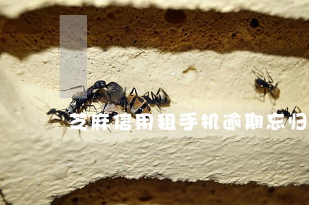 芝麻信用租手机逾期忘归还 芝麻信用租手机逾期忘归还