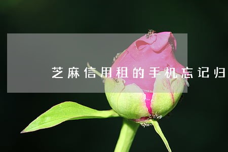 芝麻信用租的手机忘记归还逾期