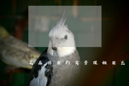 芝麻信用约定管理租用充电宝逾期 芝麻信用约定管理租用充电宝逾期
