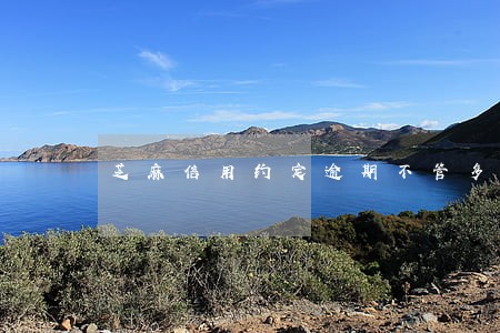芝麻信用约定逾期不管多久消除 芝麻信用约定逾期不管多久消除