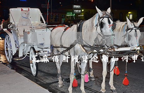 芝麻信用网贷逾期如何申诉 芝麻信用网贷逾期如何申诉