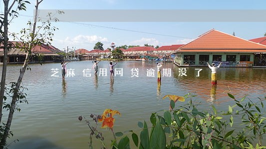 芝麻信用网贷逾期没了 芝麻信用网贷逾期没了