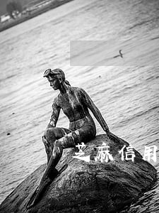 芝麻信用能查到网贷逾期吗 芝麻信用能查到网贷逾期吗