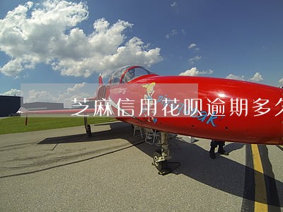 芝麻信用花呗逾期多久会被降额 芝麻信用花呗逾期多久会被降额