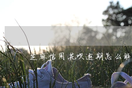 芝麻信用花呗逾期怎么解决 芝麻信用花呗逾期怎么解决
