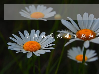 芝麻信用花呗逾期扣了59分 芝麻信用花呗逾期扣了59分
