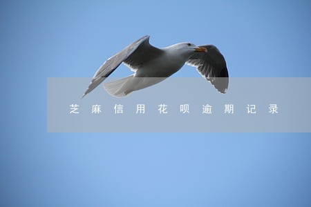 芝麻信用花呗逾期记录 芝麻信用花呗逾期记录