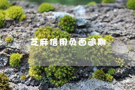芝麻信用负面逾期 芝麻信用负面逾期