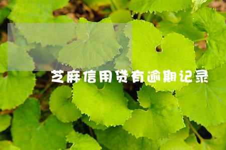 芝麻信用贷有逾期记录