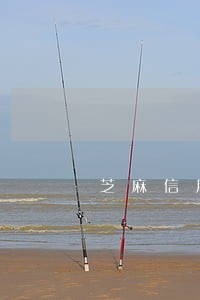 芝麻信用贷款逾期 芝麻信用贷款逾期