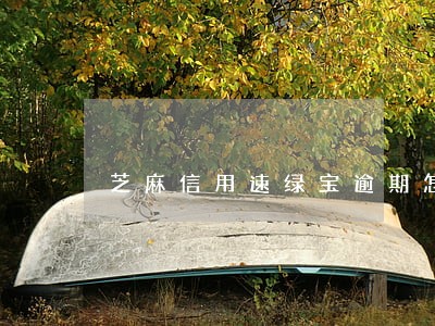 芝麻信用速绿宝逾期怎么还款 芝麻信用速绿宝逾期怎么还款