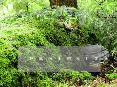 芝麻信用逾期10天有什么影响 芝麻信用逾期10天有什么影响