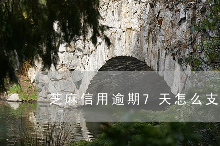 芝麻信用逾期7天怎么支付 芝麻信用逾期7天怎么支付