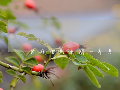 芝麻信用逾期一个月 芝麻信用逾期一个月