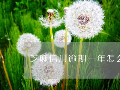 芝麻信用逾期一年怎么解决 芝麻信用逾期一年怎么解决