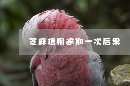 芝麻信用逾期一次后果