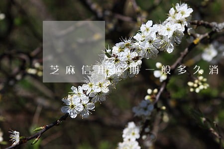 芝麻信用逾期一般多久消除 芝麻信用逾期一般多久消除