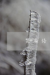 芝麻信用逾期三个月还能申请吗 芝麻信用逾期三个月还能申请吗