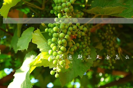 芝麻信用逾期三天会怎么样 芝麻信用逾期三天会怎么样