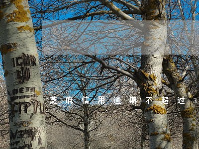 芝麻信用逾期不超过30天
