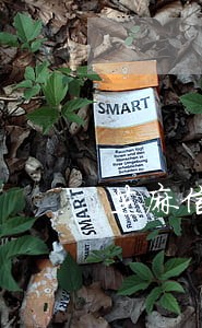 芝麻信用逾期了多长时间能恢复 芝麻信用逾期了多长时间能恢复