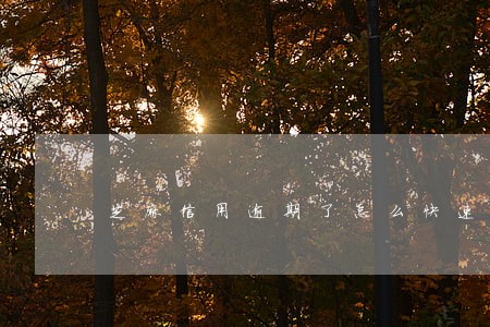 芝麻信用逾期了怎么快速恢复 芝麻信用逾期了怎么快速恢复