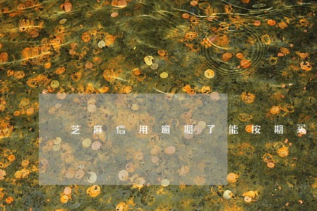 芝麻信用逾期了能按期买手机吗 芝麻信用逾期了能按期买手机吗