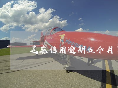 芝麻信用逾期五个月了 芝麻信用逾期五个月了