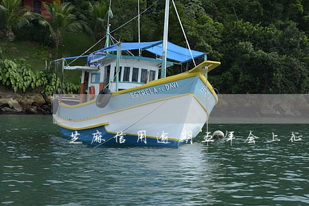 芝麻信用逾期五年会上征信吗 芝麻信用逾期五年会上征信吗