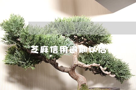 芝麻信用逾期以后降低 芝麻信用逾期以后降低