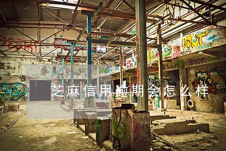 芝麻信用逾期会怎么样 芝麻信用逾期会怎么样