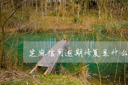 芝麻信用逾期修复是什么意思 芝麻信用逾期修复是什么意思