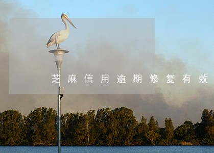 芝麻信用逾期修复有效吗 芝麻信用逾期修复有效吗