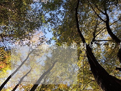 芝麻信用逾期修复的条件 芝麻信用逾期修复的条件