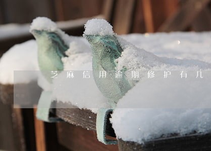 芝麻信用逾期修护有几道题