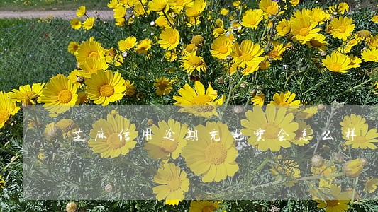 芝麻信用逾期充电宝会怎么样 芝麻信用逾期充电宝会怎么样