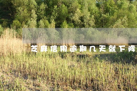 芝麻信用逾期几天就下降那么多 芝麻信用逾期几天就下降那么多