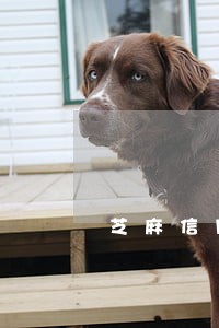 芝麻信用逾期几年了会上征信吗 芝麻信用逾期几年了会上征信吗