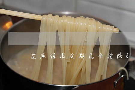 芝麻信用逾期几年消除6 芝麻信用逾期几年消除6