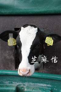 芝麻信用逾期半年多 芝麻信用逾期半年多