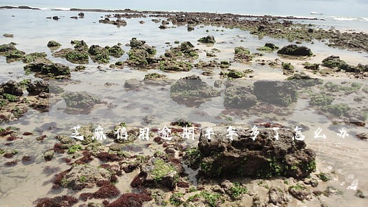 芝麻信用逾期半年多了怎么办 芝麻信用逾期半年多了怎么办