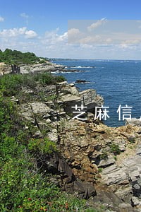 芝麻信用逾期后一个月只加一分