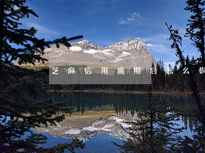 芝麻信用逾期后怎么恢复信用 芝麻信用逾期后怎么恢复信用