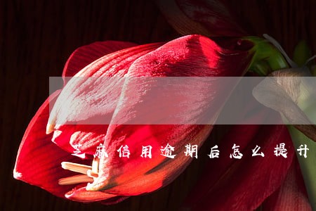 芝麻信用逾期后怎么提升 芝麻信用逾期后怎么提升