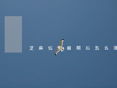 芝麻信用逾期后怎么涨 芝麻信用逾期后怎么涨