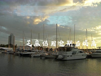 芝麻信用逾期后提高 芝麻信用逾期后提高